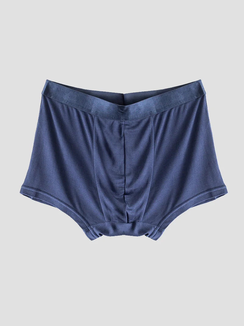 Men‘s 100% Mulberry Silk Boxer Briefs Underwear - Image 6